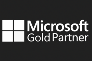 microsoft gold partner, website